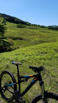 新緑の香りたっぷりな細野高原