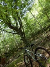 『苔』の話題に連想し皮子平トレイルへ