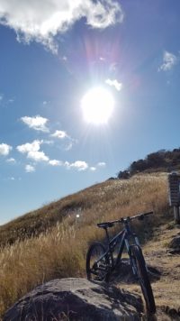 休日の過ごし方…