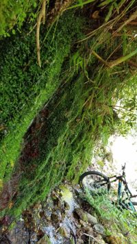 梅雨間の晴れ！林道Ride