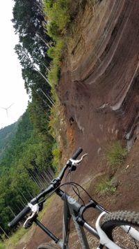 まさにシークレット林道！