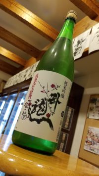 臥龍梅のぷちぷちした食感！直汲み生原酒