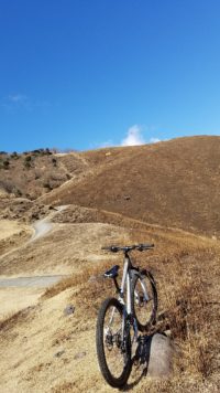 店主の毎週アクティブな休日