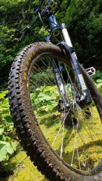 山遊びの醍醐味…泥んこ遊びだぜ