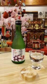 今季デザイン・リニューアルの限定 雛酔桜