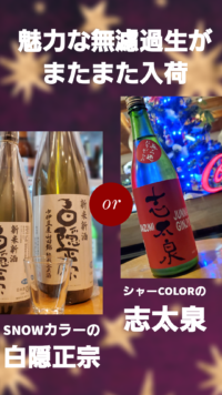 シャー＆スノーColorな生原酒を